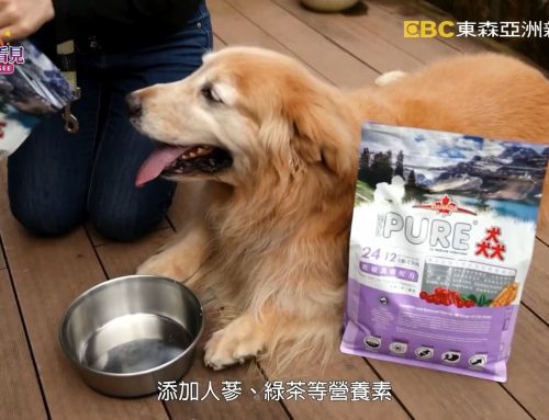 讓世界都看見-東森亞洲新聞台播出「雍立貿易(猋)」始終如一的用心，給寵物最精緻的呵護